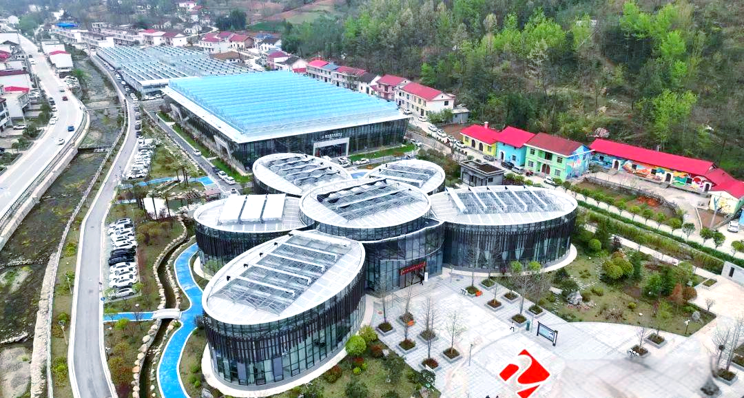 镇安县举办盛大兰花交易会,成交额喜人