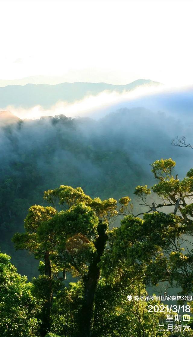 每日一景|陵水吊罗山国家森林公园