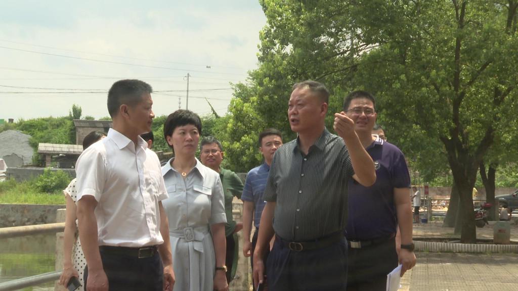 蒋湘晖一行来渌口区调研朱亭古镇民宿项目