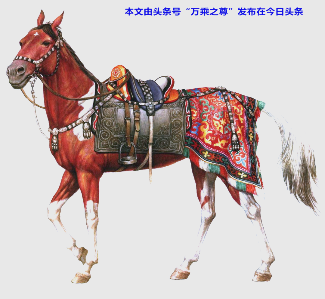 从古代马具看马文化的演变与进步