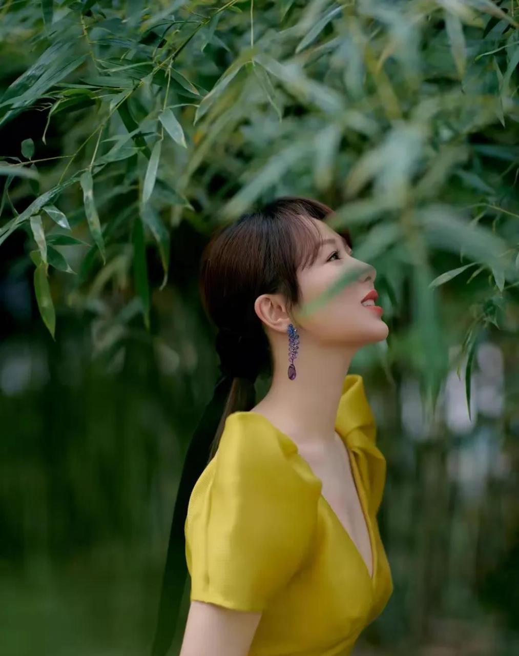 杨紫性感深v美图