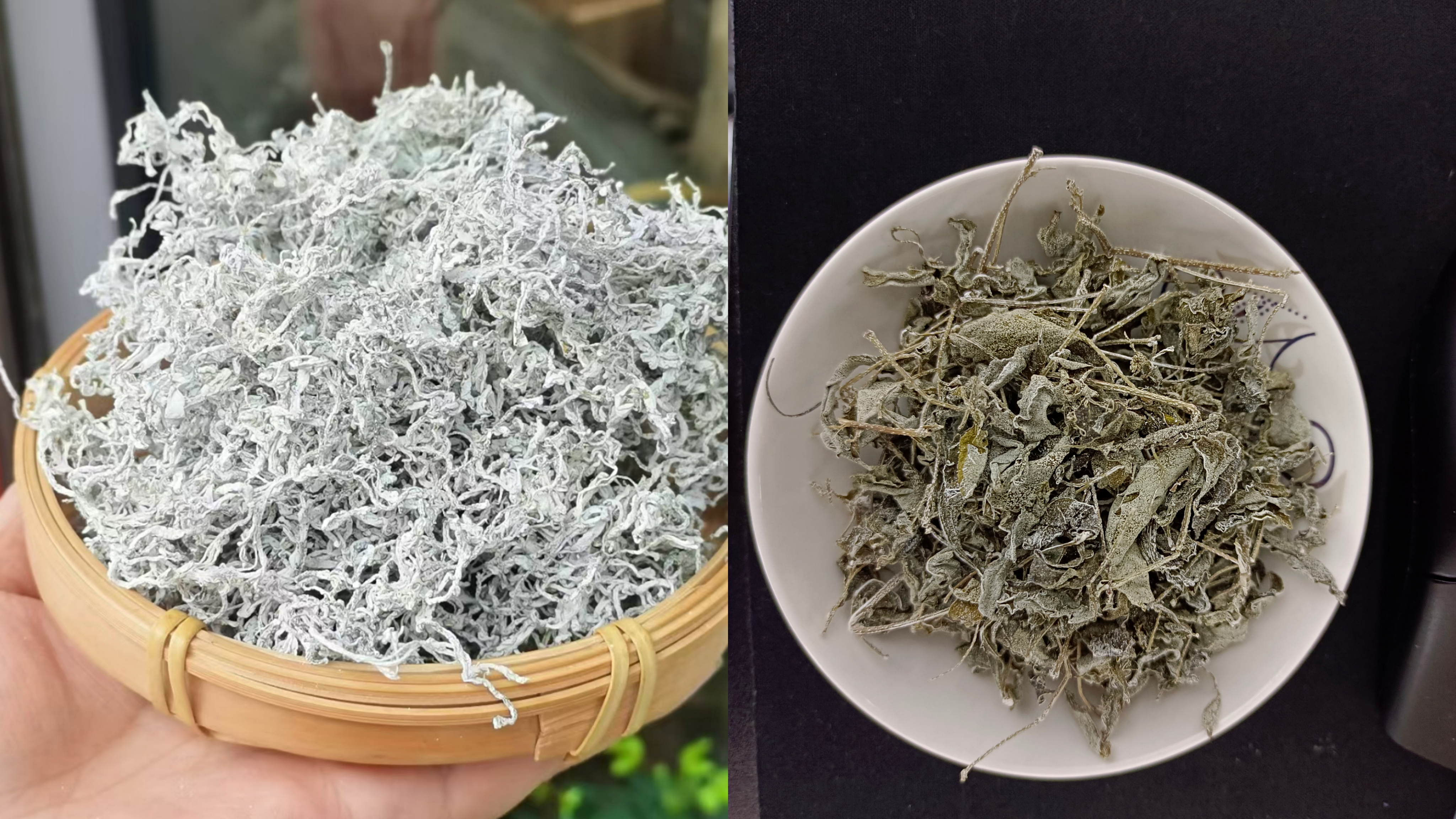 张家界莓茶正品怎么买?哪里可以买到正宗的莓茶?