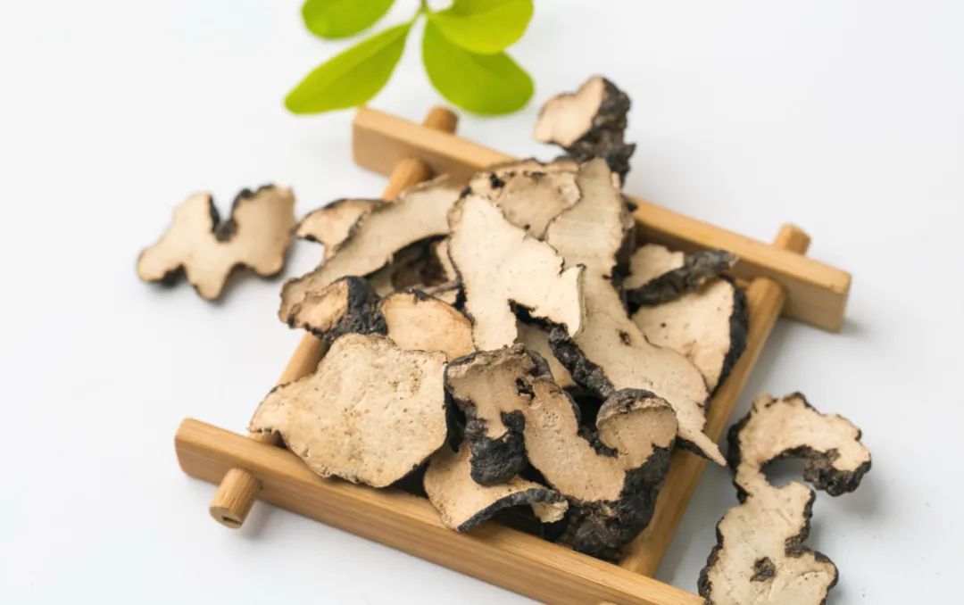 胡博士说中药|猪苓&茯苓,均可利水/消肿/渗湿,两者有何区别?