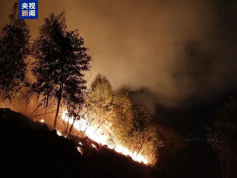 广东肇庆高要区发生山火,暂无人员伤亡