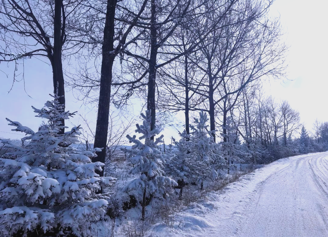 乡村雪景的纯净之美,难以复制的宁静