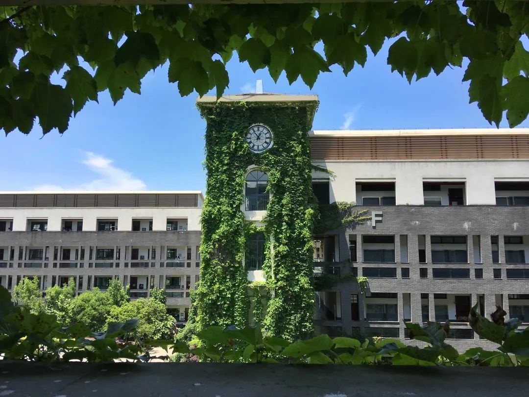 校园采风杭州第七中学艺文兼修谋发展毓文敦美绽芳华