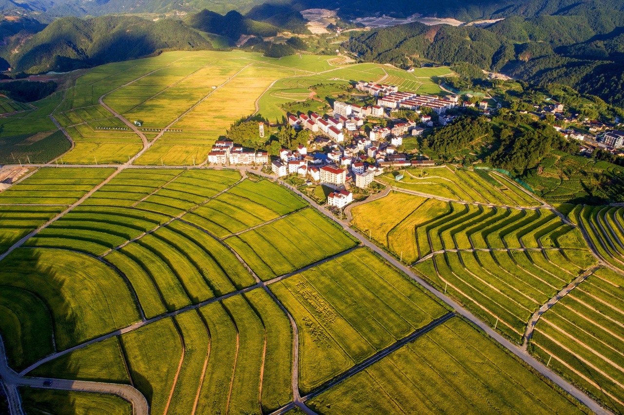 东北台地要创省级现代农业园区