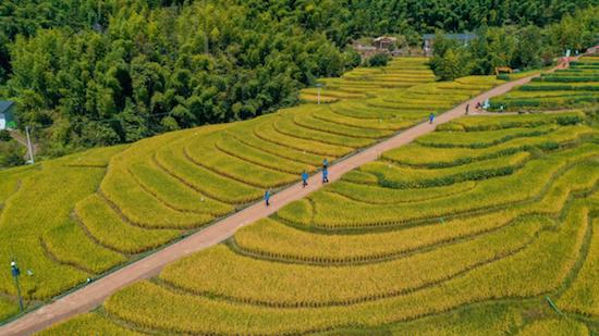 全國旅遊城市定向賽系列賽(江西崇義站)收關