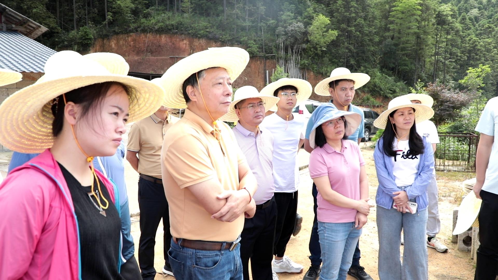 规划评审会召开,江华县领导何永亮,左华生,黎氢参加会议或现场勘查