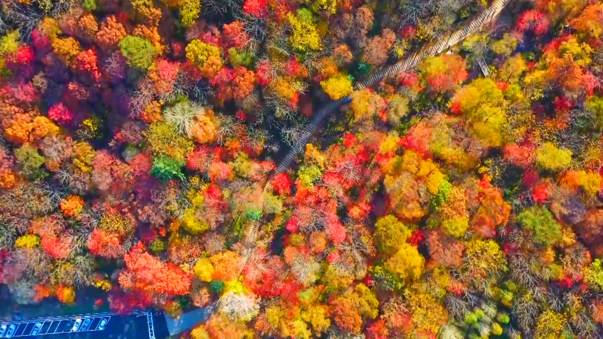 千城胜景|吉林蛟河:"秋天童话"红叶谷