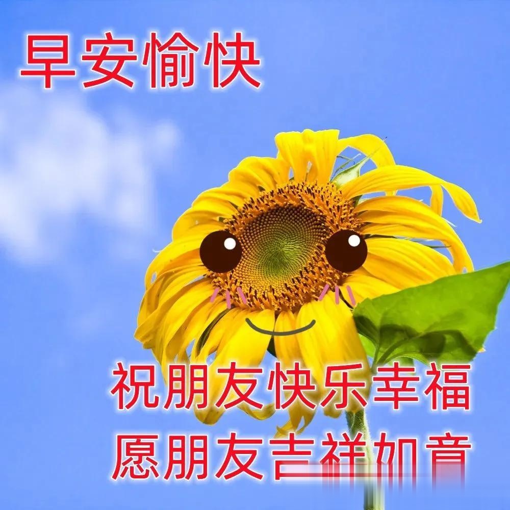 一句简短早安问候语(让人舒服的早安心语)