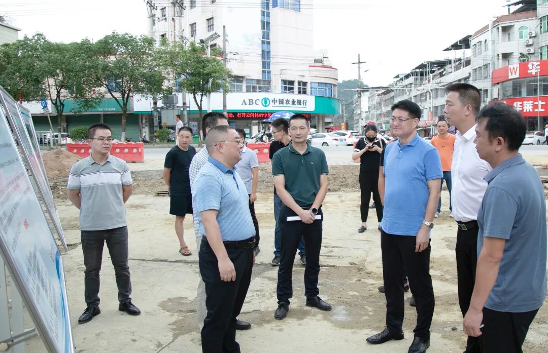 区领导督导推进流域水质提升工作