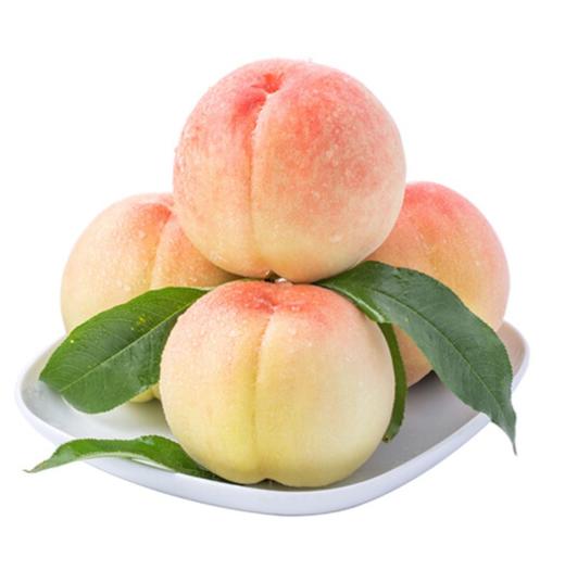 圣境花谷玉露水蜜桃就要开园啦