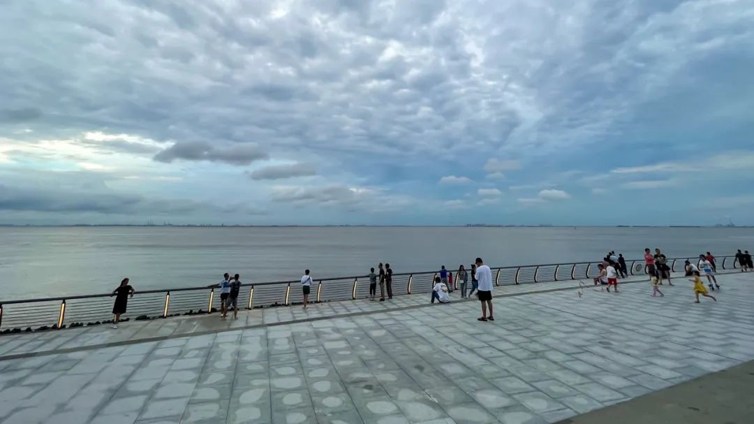 发布时间: 08-2016:56上海市人民政府办公厅