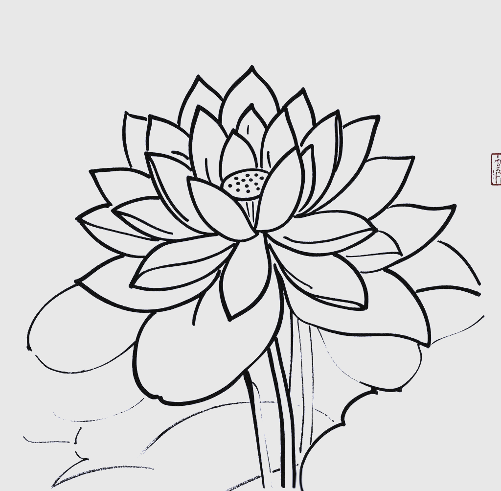 荷叶与荷花简笔画绘制指南:黑白色线稿与可涂色技巧详解