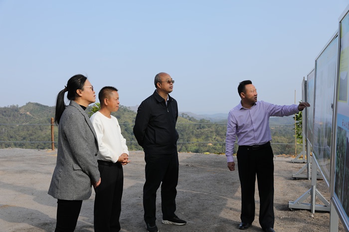 李彤华调研龙圩区茶产业发展情况