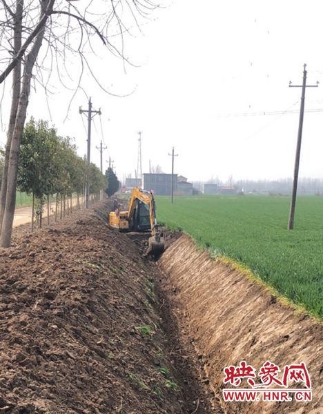 新蔡县余店镇开展林网建设工作