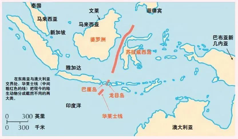 海岛地图学校图片