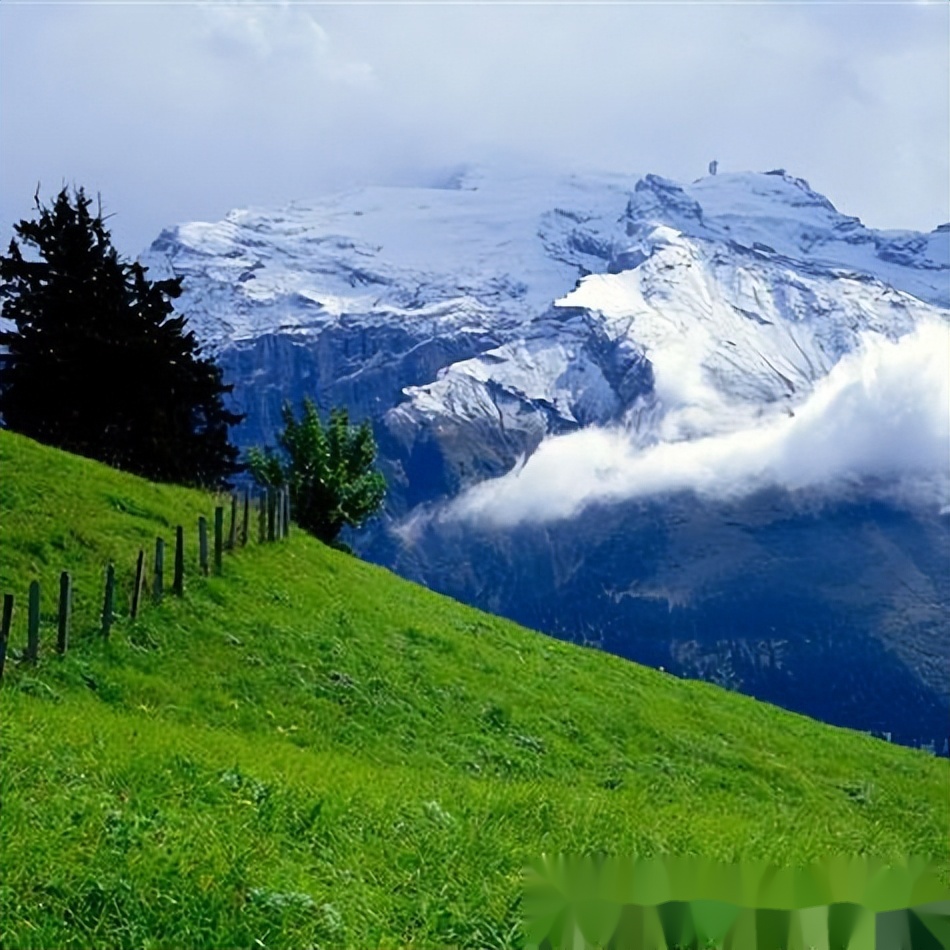 超治愈风景头像,让人感受到大自然的宁静与美丽
