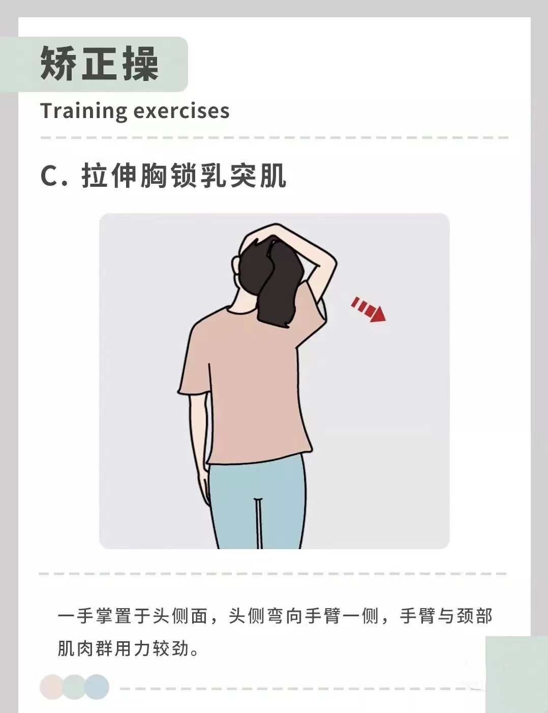 脊地|纠正脖子前倾/探颈,提升体态颜值