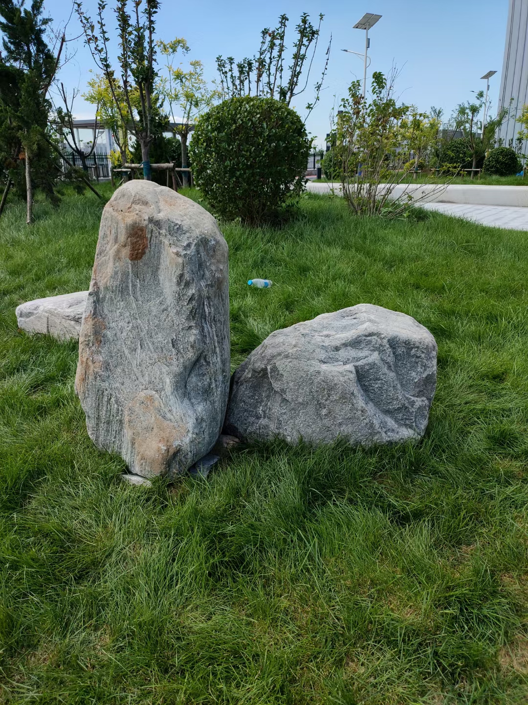 工厂草坪里的泰山石点缀,点缀的泰山石在广场安装,安装泰山石