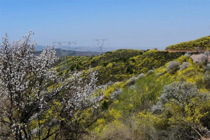 长子发鸠山图片美景图片