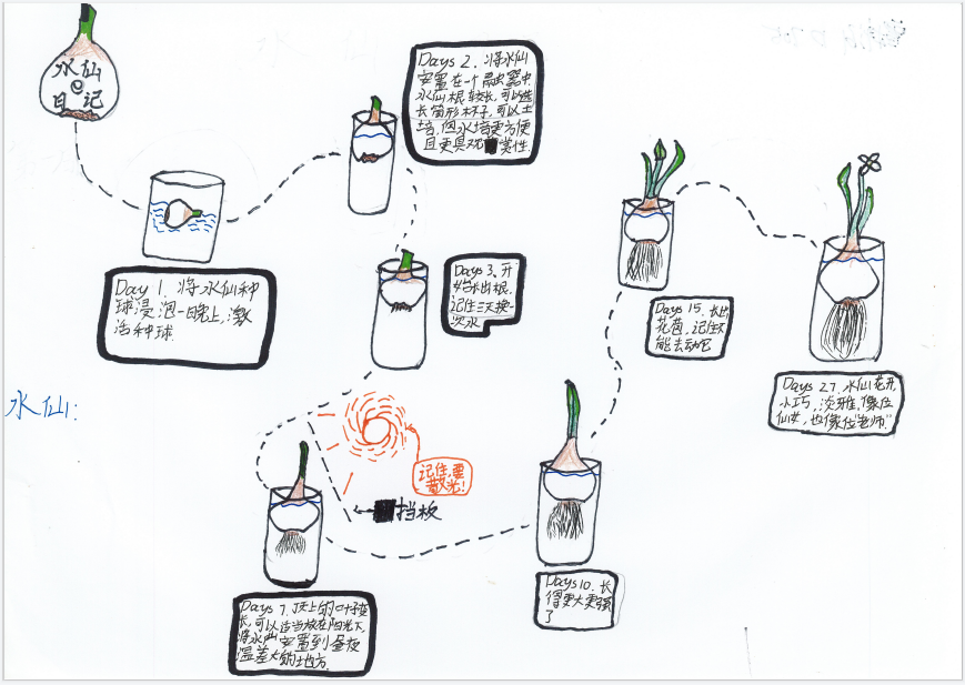 巧手生趣融学物知初中生物优秀寒假作业展