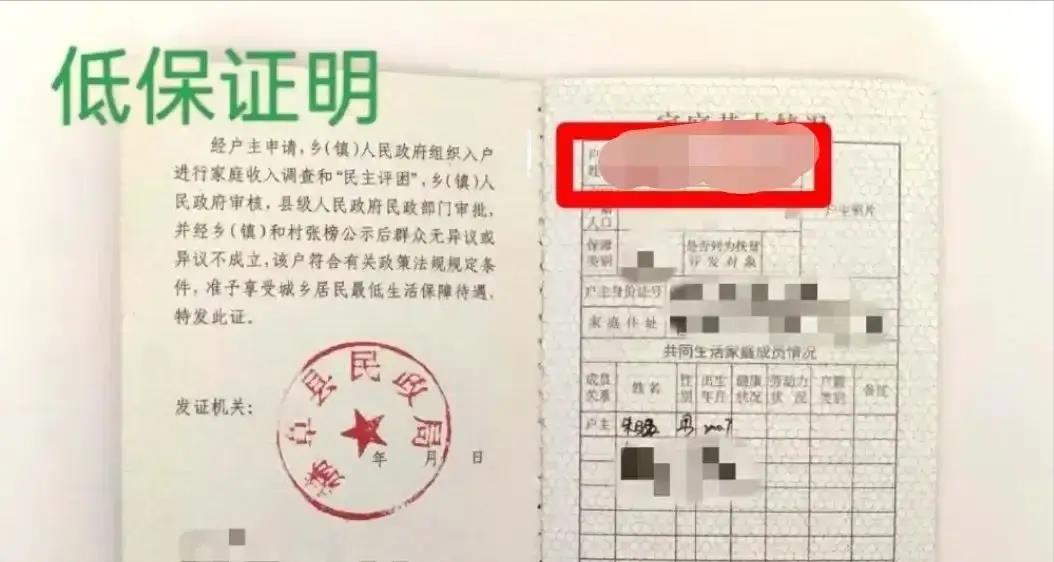 村级孤儿证明范文(村里孤儿证明怎样写)
