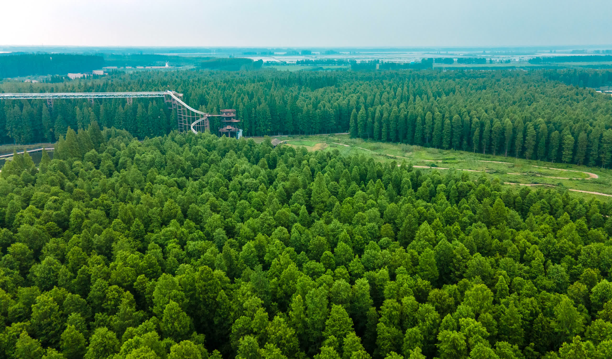 夏季游玩的天堂:江苏水上森林景区,万亩水杉林,纳凉胜地!