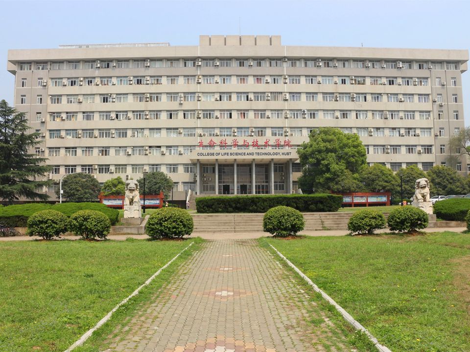 华中科技大学生命科学与技术学院马聪教授课题组公开招聘博士后