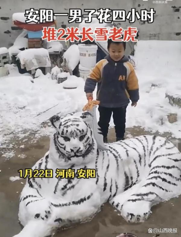 男子4小时堆出2米长雪老虎