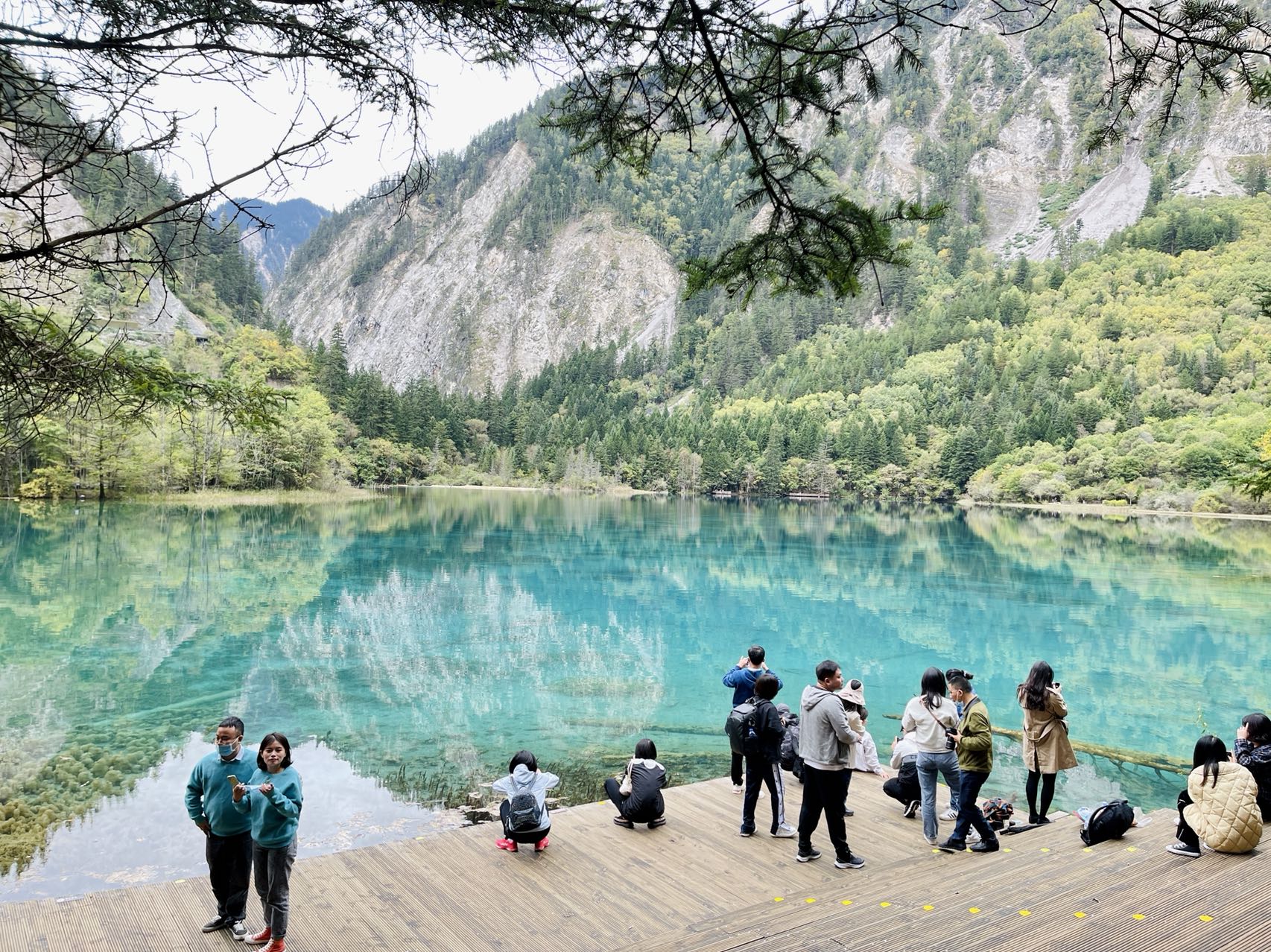 旅游|久违了!多景点重开,新路线发布,"人间仙境"九寨沟恢复全域开放