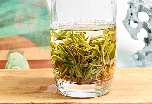 23年绿杨春新茶口感如何?请看评测