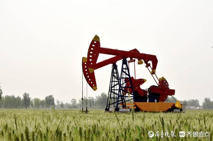 临盘采油厂50年发现6个油田,为国生产原油7215万吨