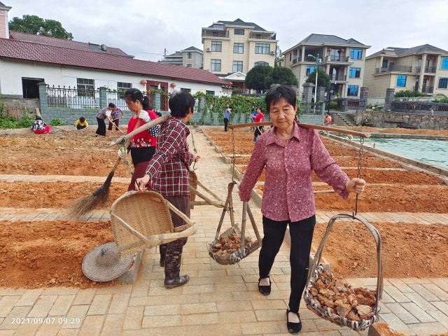 建德桂花村图片