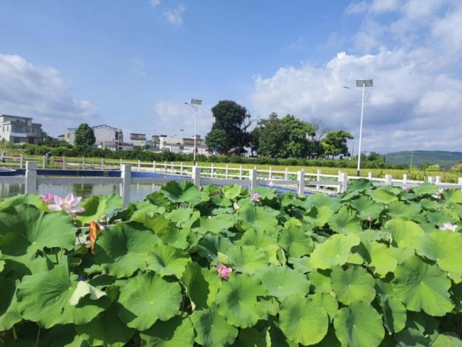 美翻了我的村丨广西壮族自治区来宾市象州县寺村镇: 以乡贤文化助力