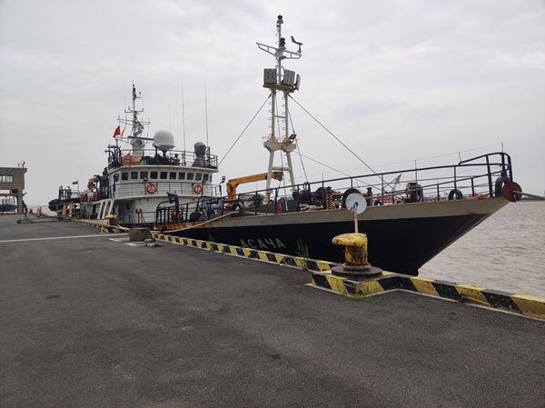 长兴横沙渔港码头外籍渔船入境数量及鲜活水产品数量均创历史新高