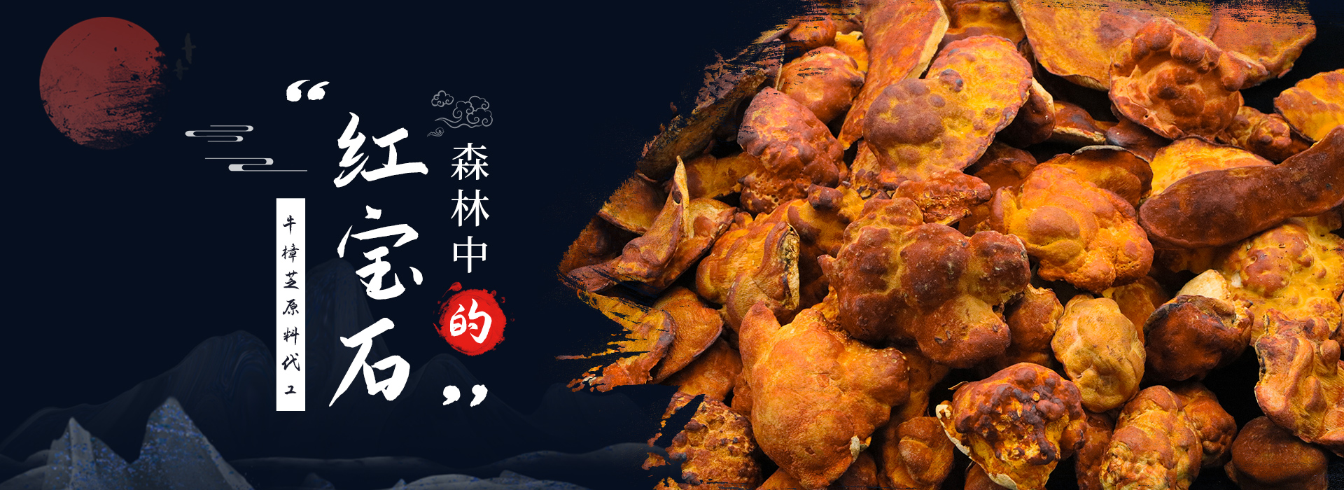 牛樟芝为什么被原住民奉若至宝?