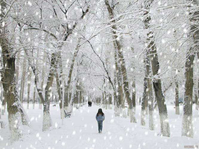 666_499gif 动态图 动图