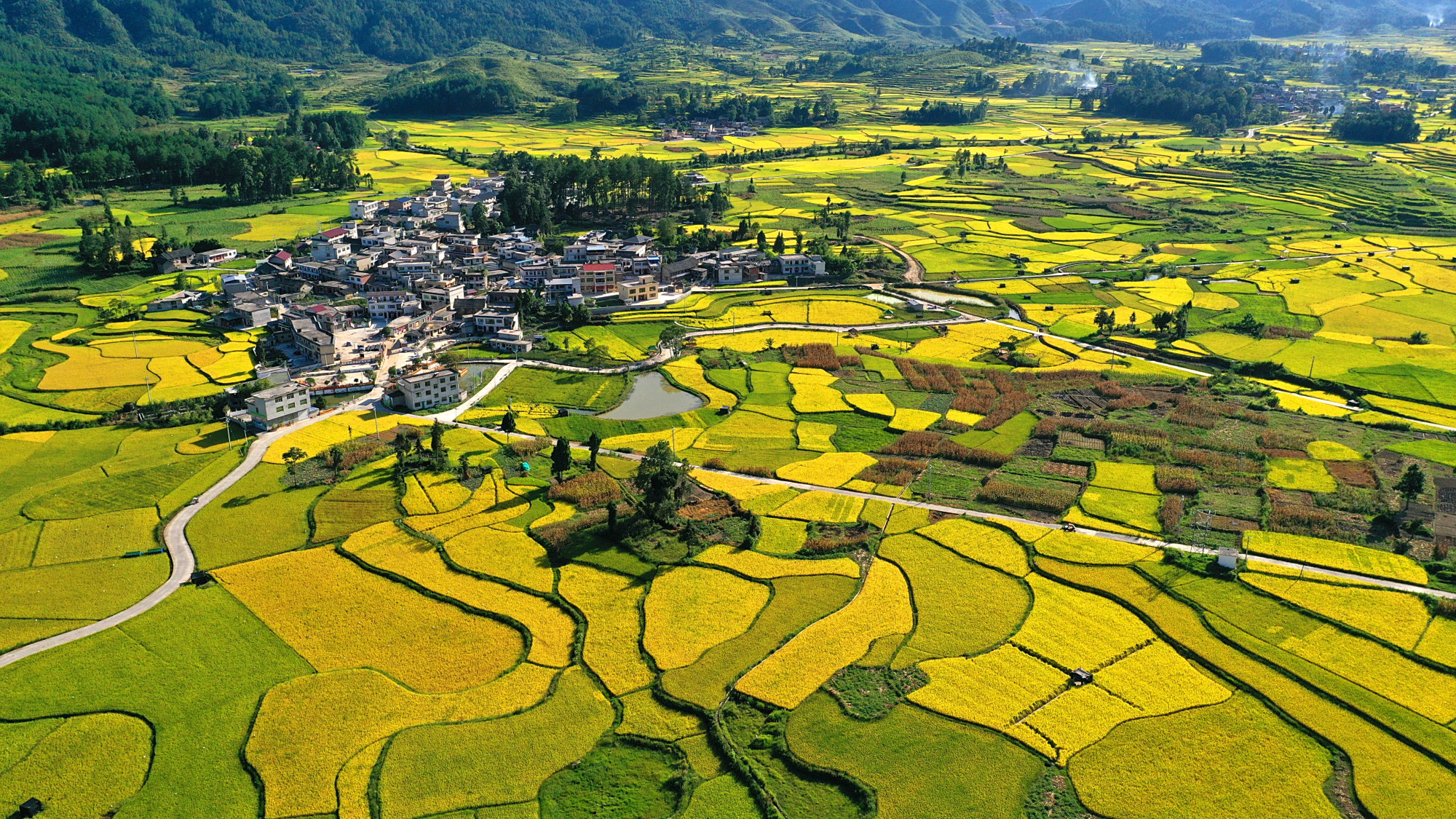 「乡村振兴黔南实践」龙里翠微村:建成城里人神往眷恋的新型魅力乡村