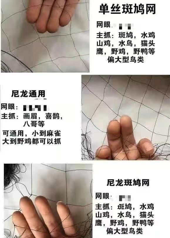 某商家客服提供的"捕鸟说明.受访者供图