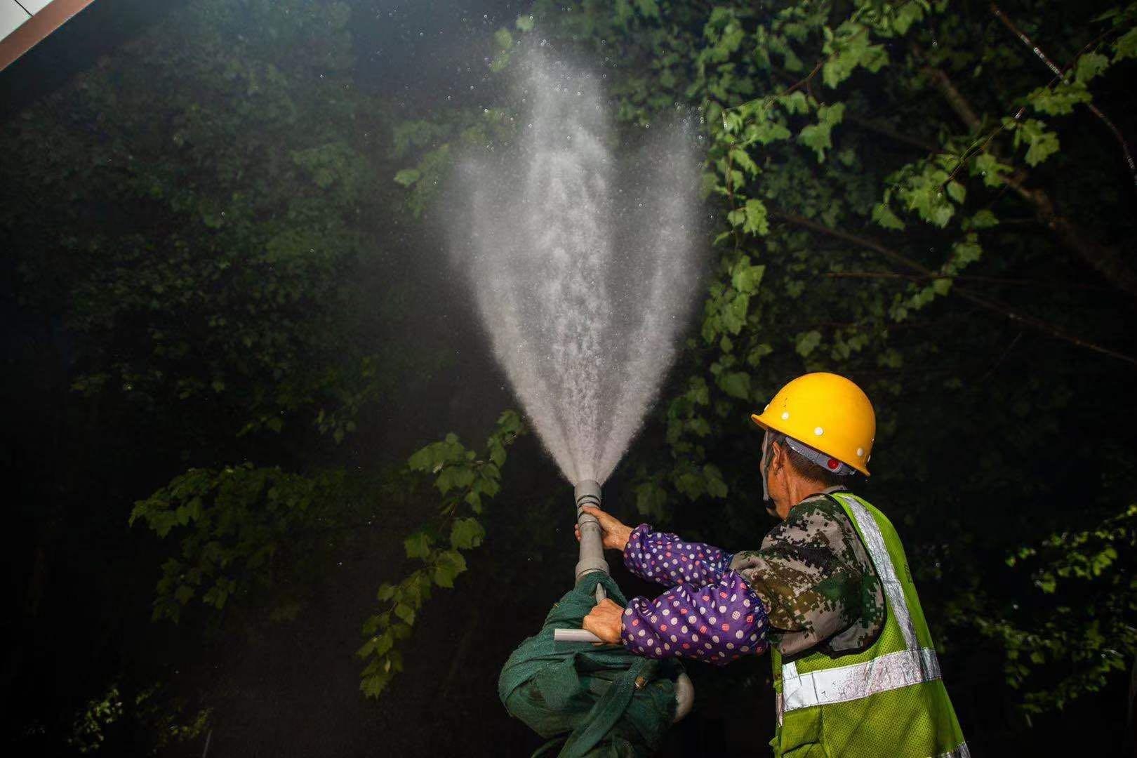 环卫园林齐出手 夜"战"梧桐飘絮