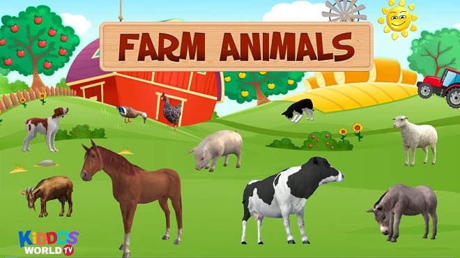 animal farm动画片图片