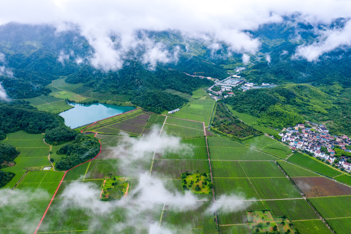 农文旅融合绘制"富春山居图" 绍兴"抹茶小镇"打造美丽经济新地标