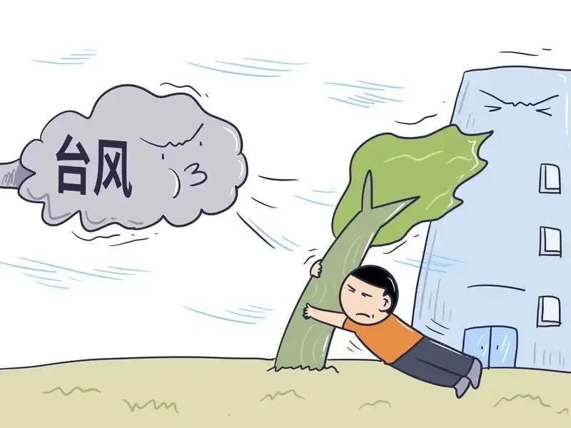 台风季即将来临,新房装修以及施工需注意→|上海市消保委家装办