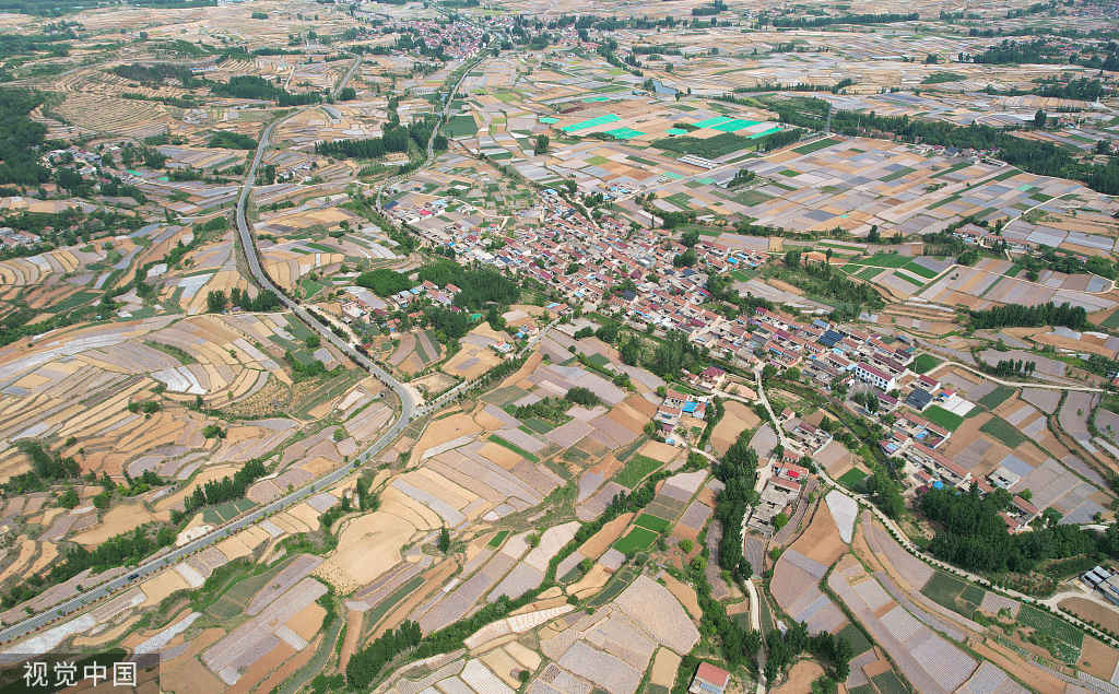 临沂:乡村旱作梯田阡陌纵横