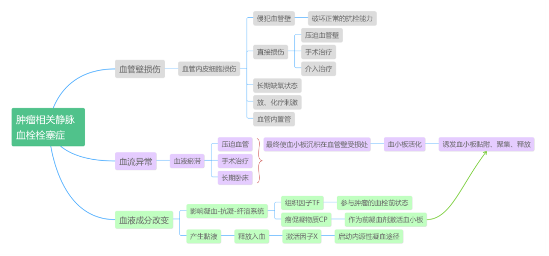 肺栓塞思维导图图片