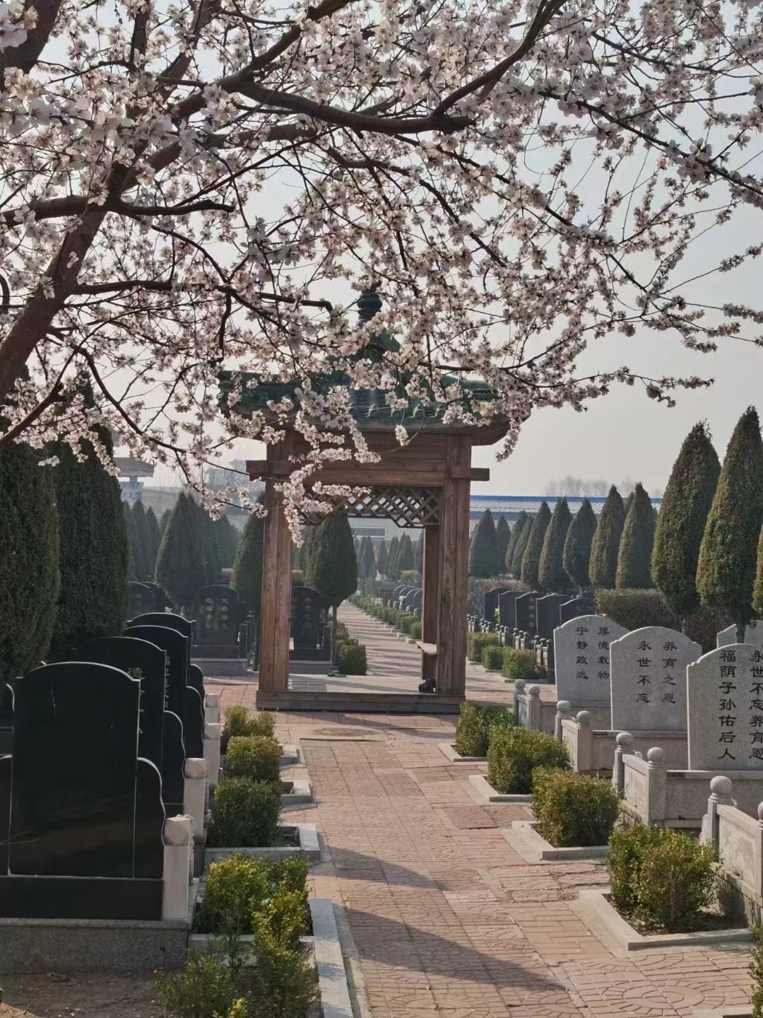 沈阳天台山公墓电话:024-22966971