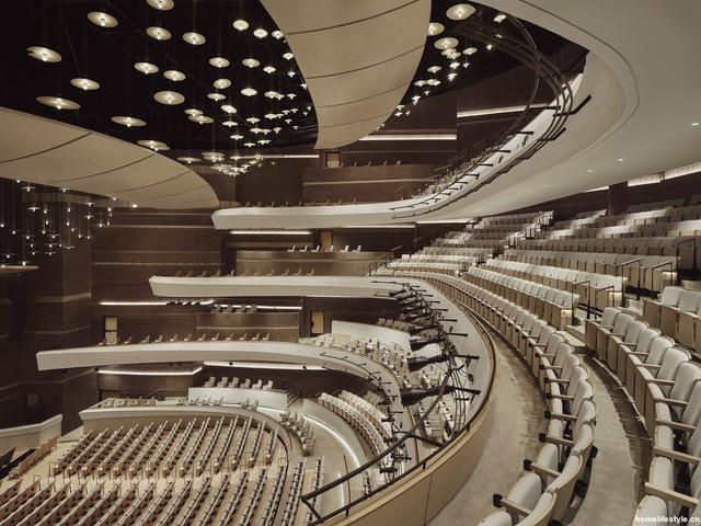 roomstyle 美国 buddy holly 表演艺术与科学大厅