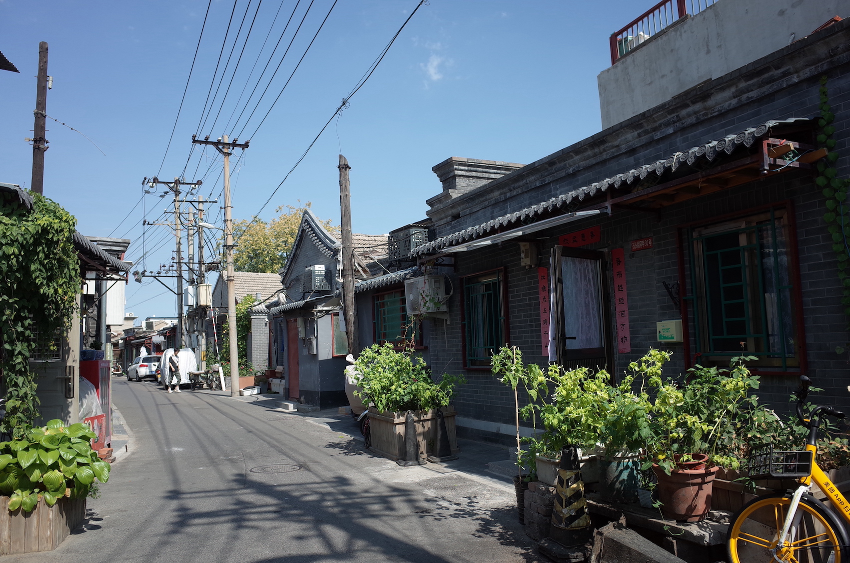 煤市街,石头胡同,铁树斜街……北京前门一带实在太适合散步